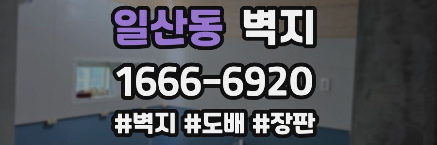일산동 벽지