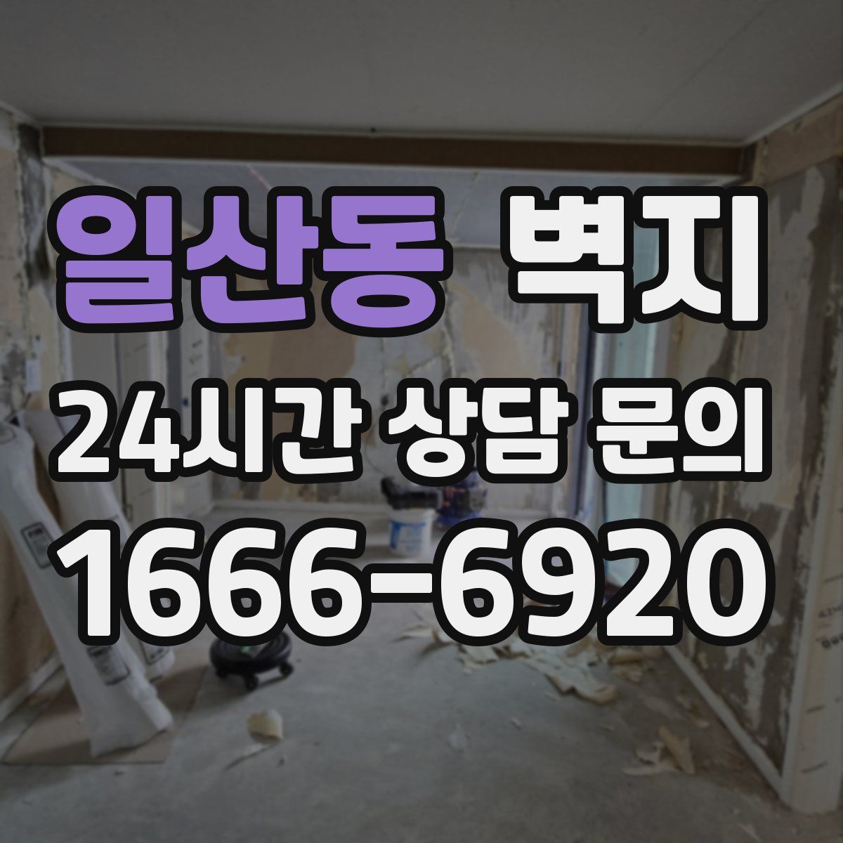 일산동 벽지