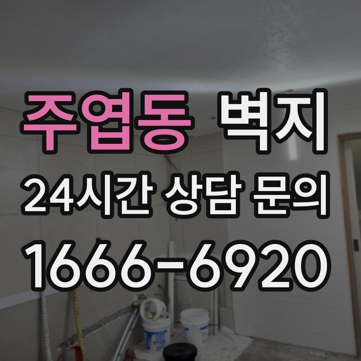 주엽동 벽지
