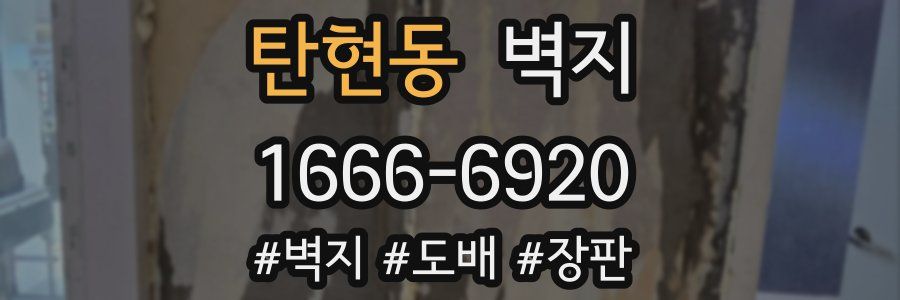 탄현동 벽지