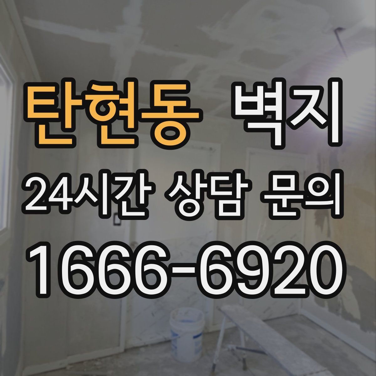 탄현동 벽지