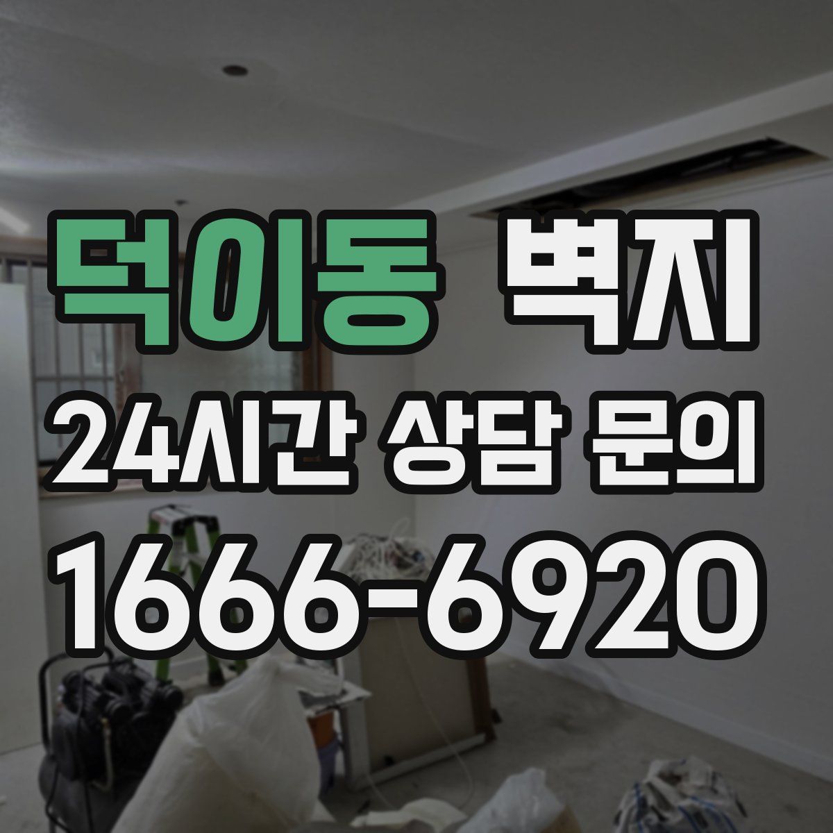 덕이동 벽지