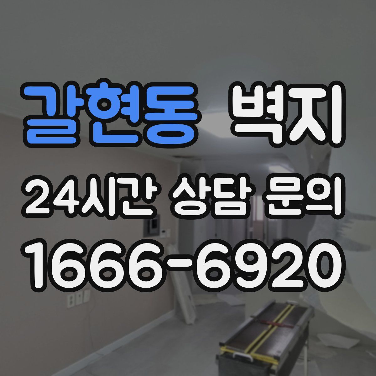 갈현동 벽지