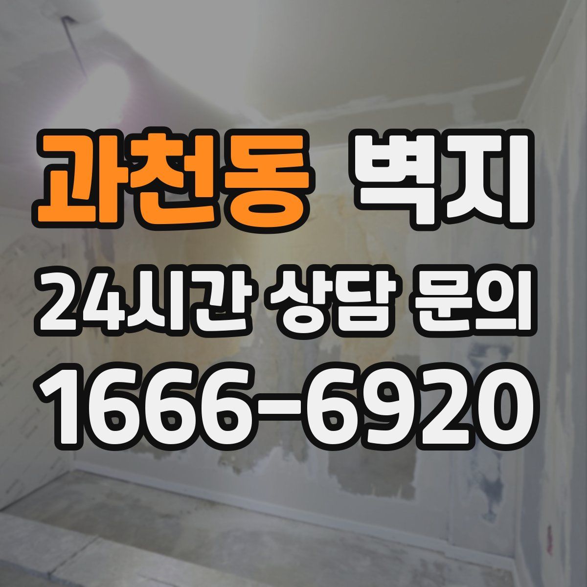 과천동 벽지