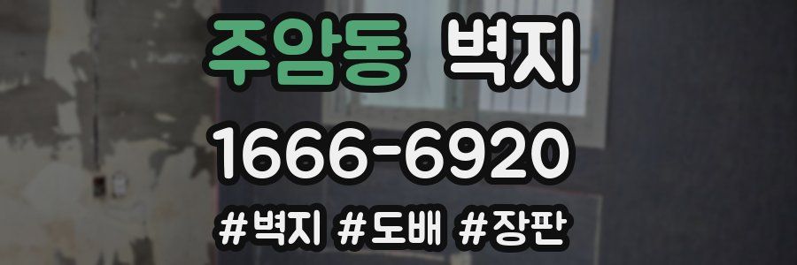 주암동 벽지