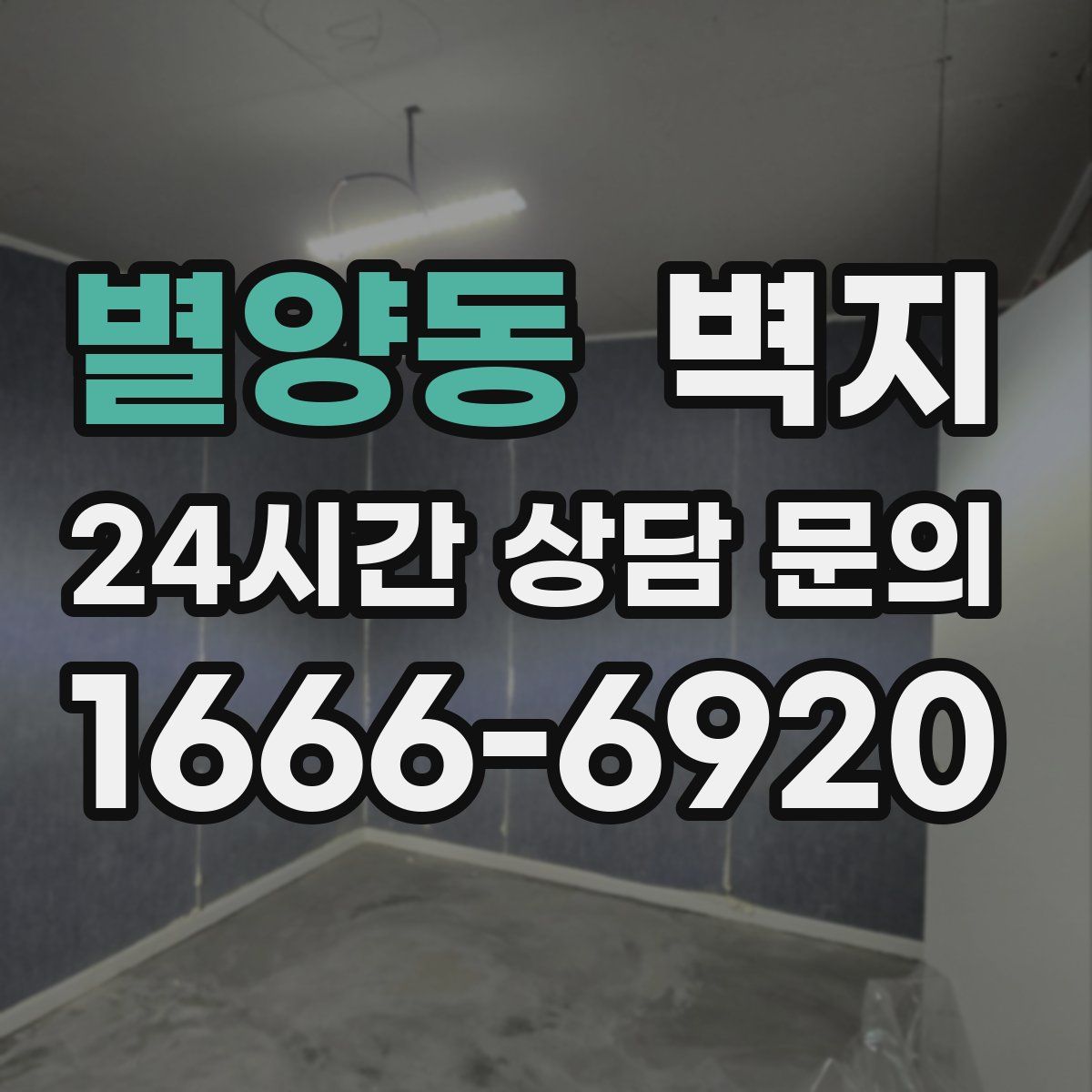 별양동 벽지