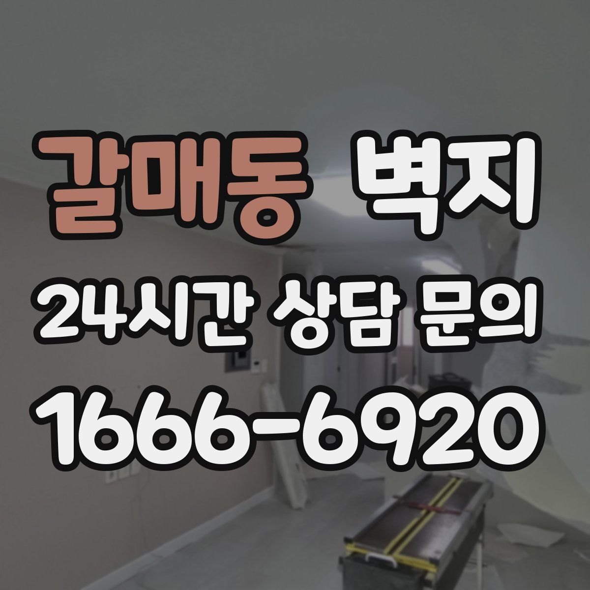 갈매동 벽지