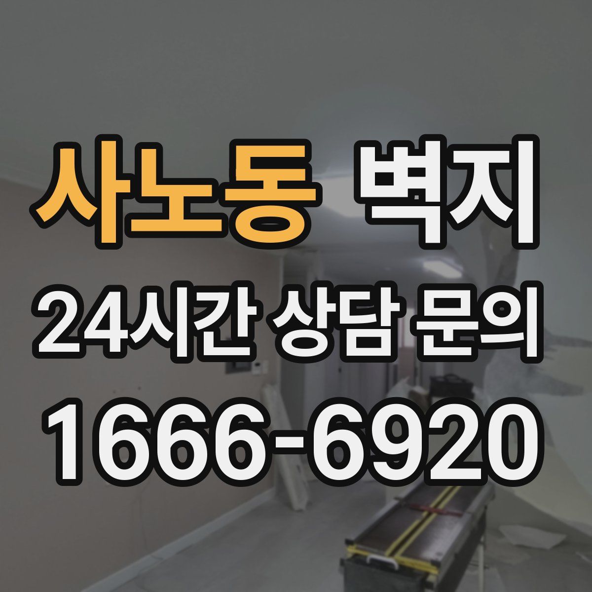 사노동 벽지