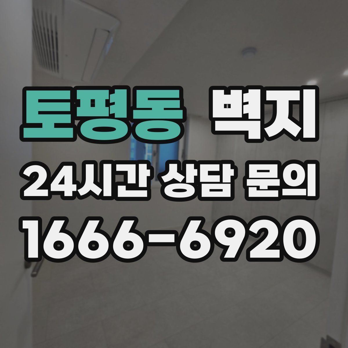 토평동 벽지