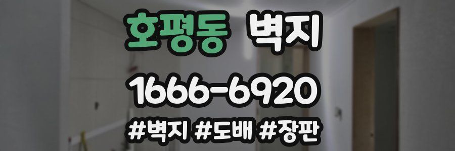 호평동 벽지
