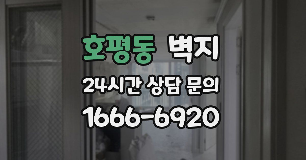 호평동 벽지