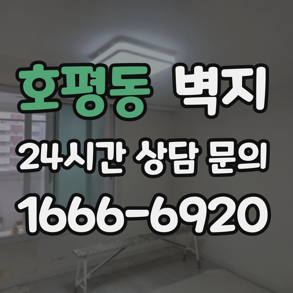 호평동 벽지