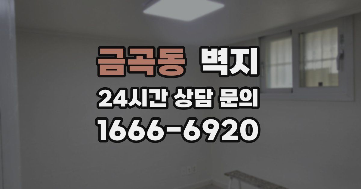 금곡동 벽지