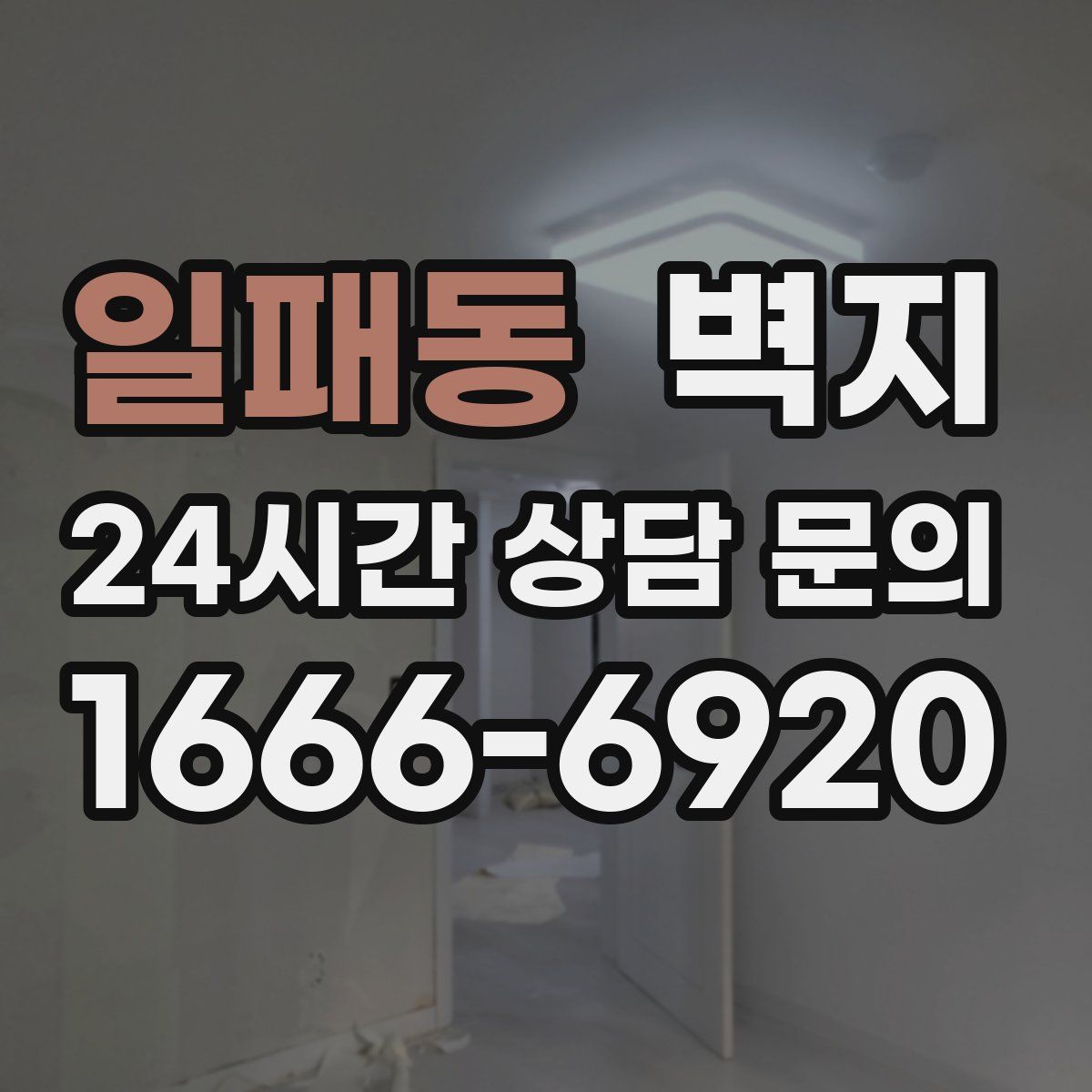 일패동 벽지