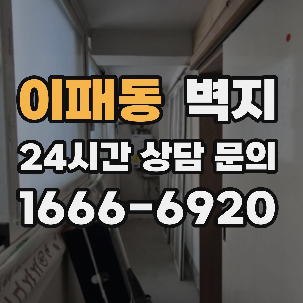 이패동 벽지