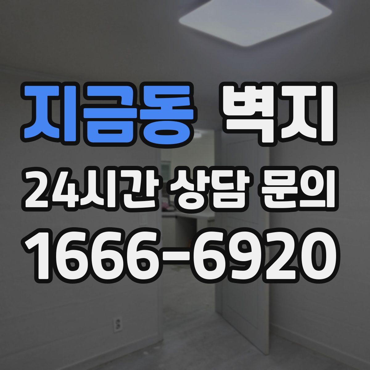 지금동 벽지
