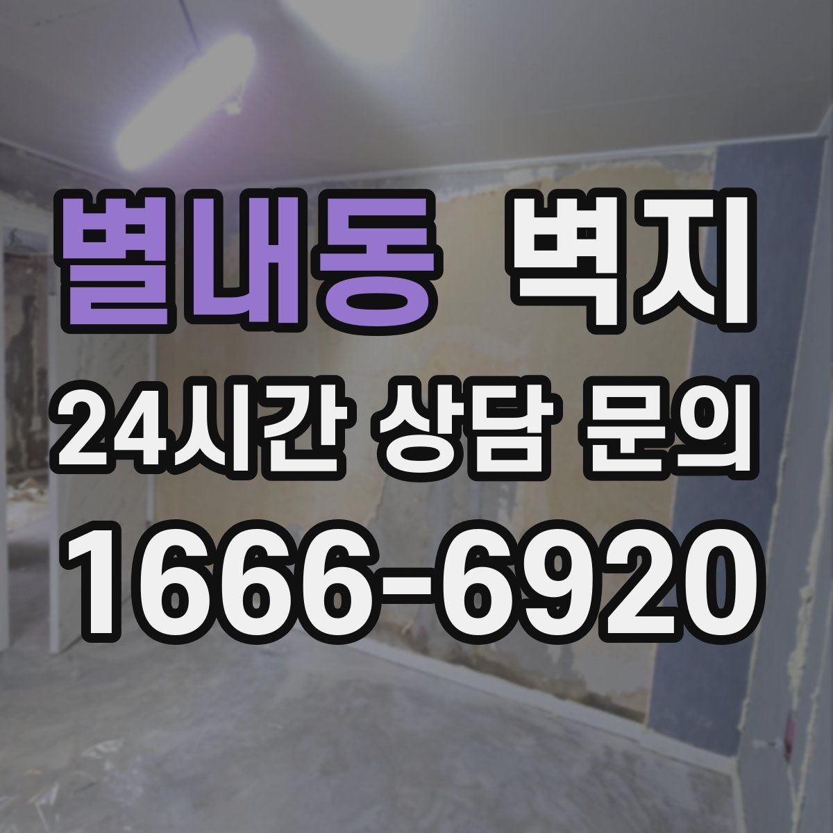 별내동 벽지