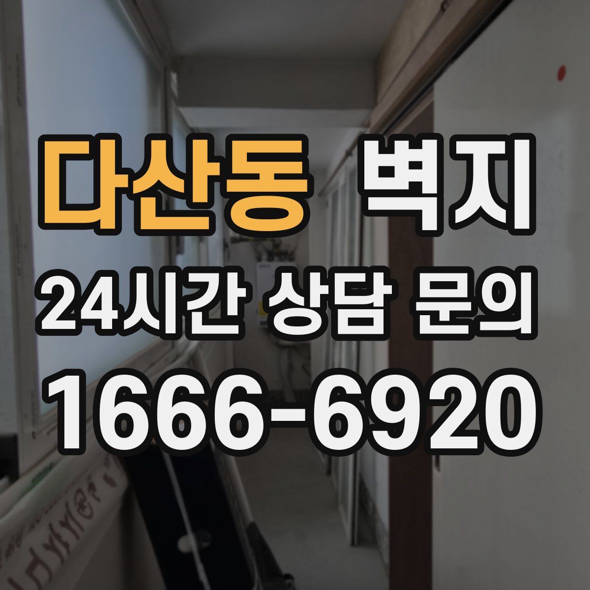 다산동 벽지