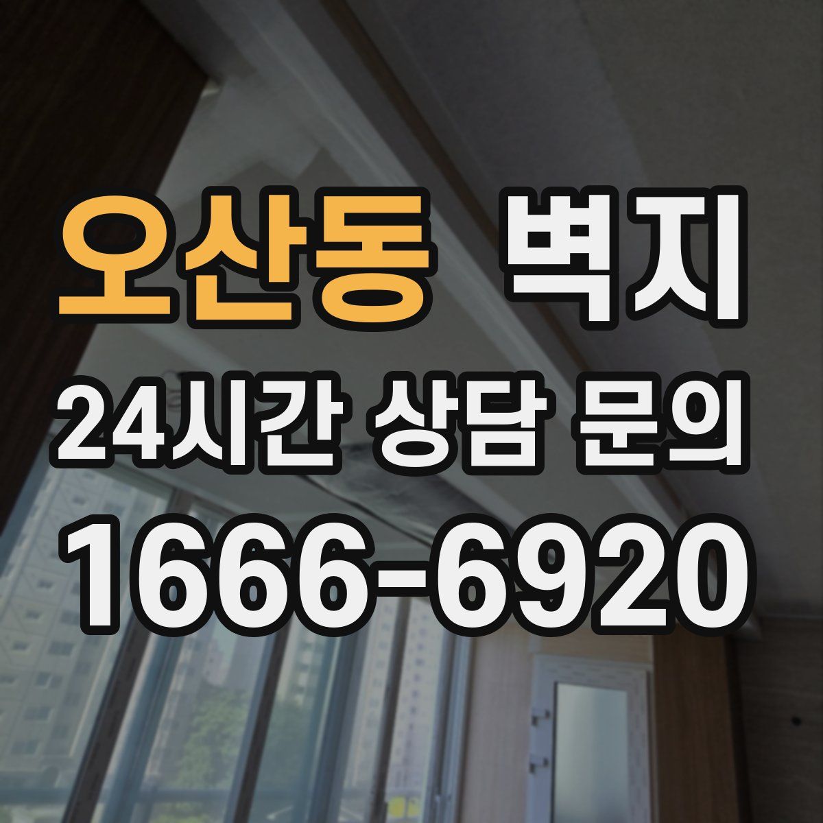 오산동 벽지