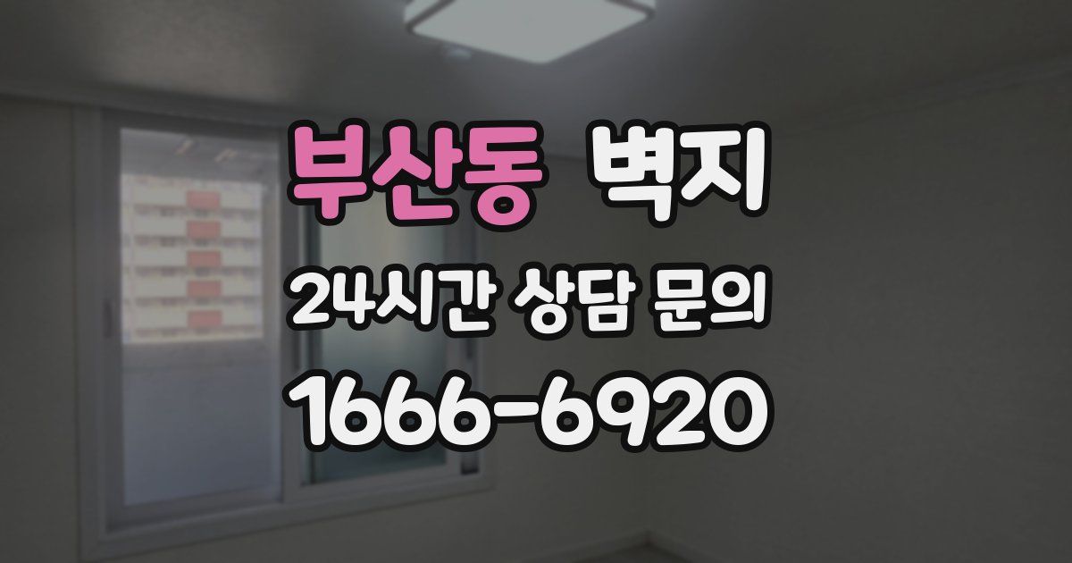 부산동 벽지