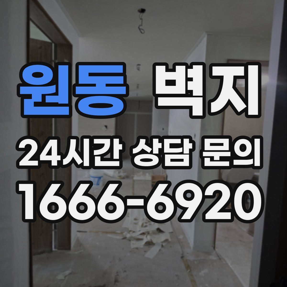 원동 벽지