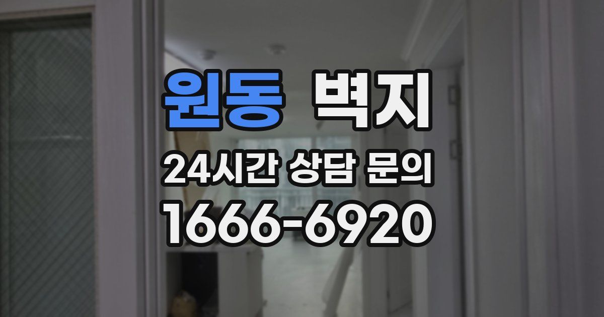 원동 벽지