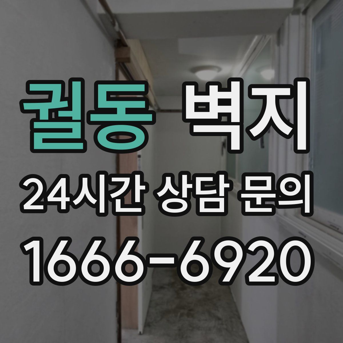 궐동 벽지