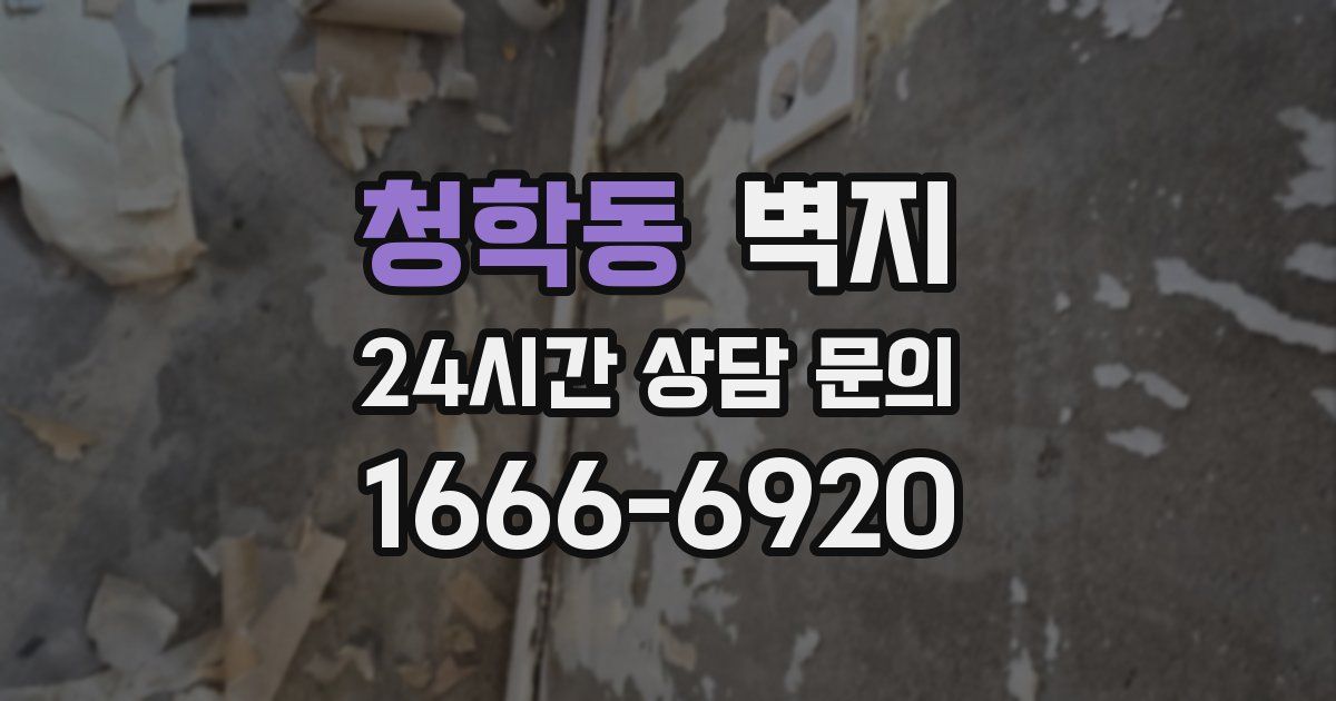 청학동 벽지