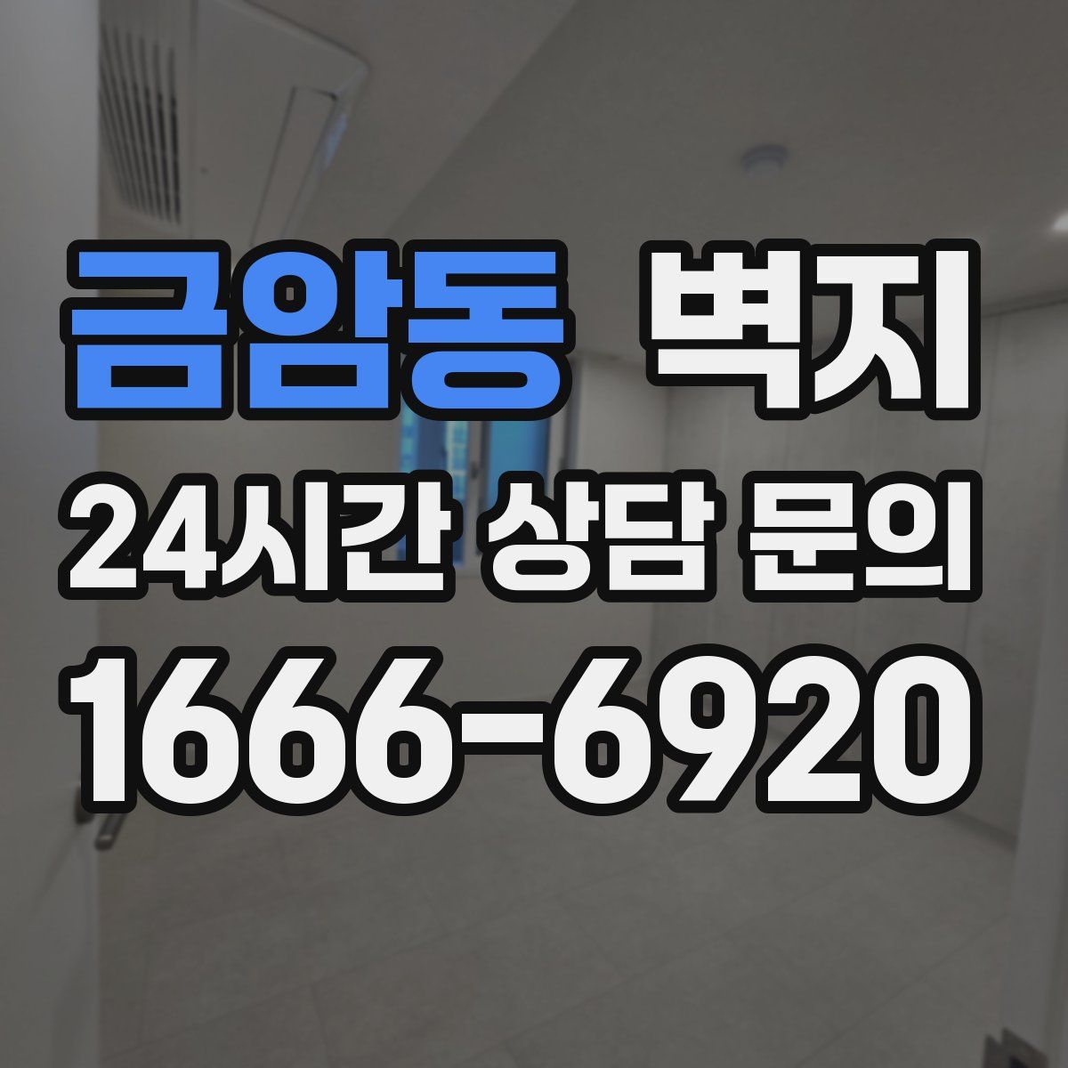 금암동 벽지
