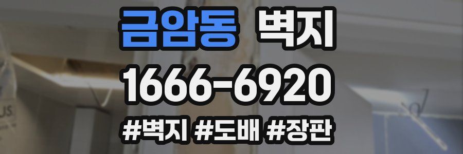 금암동 벽지