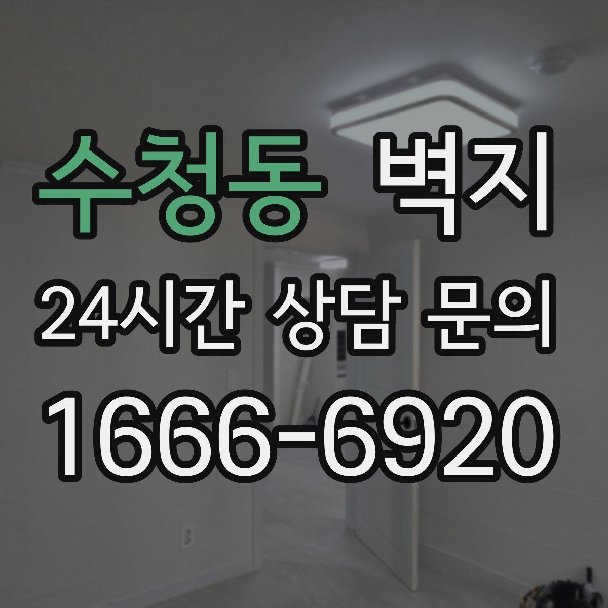 수청동 벽지
