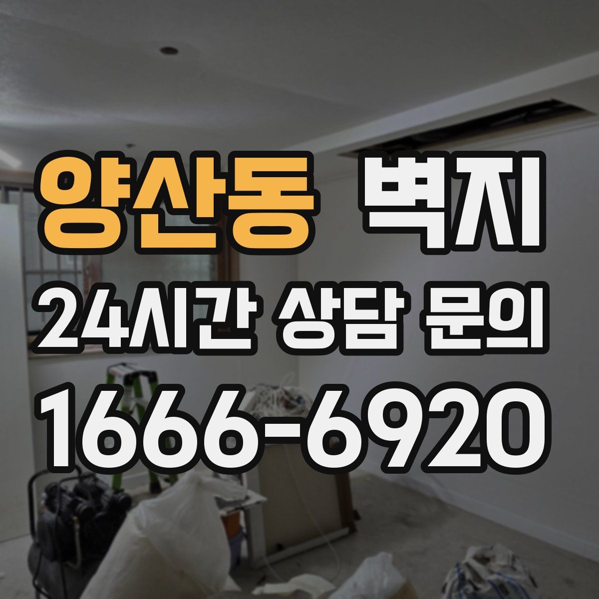 양산동 벽지