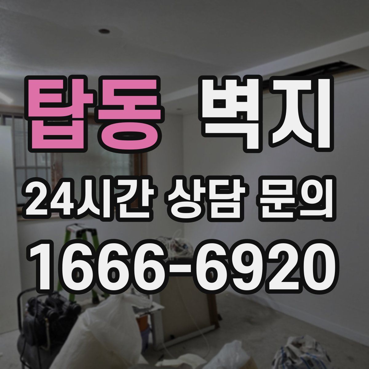 탑동 벽지