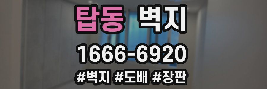 탑동 벽지