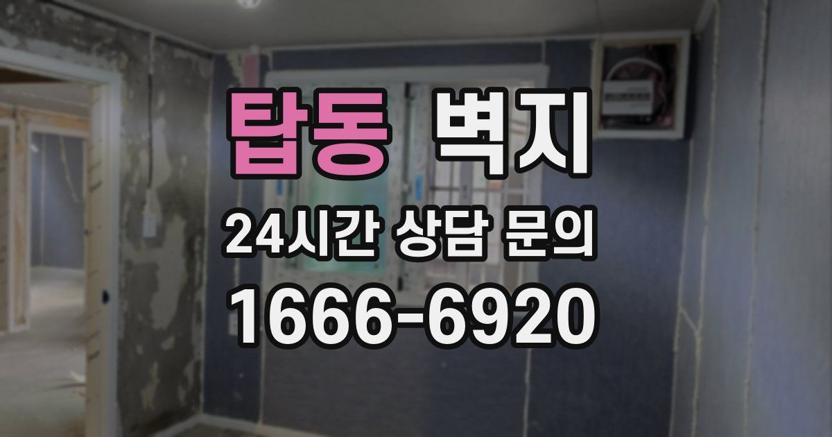 탑동 벽지