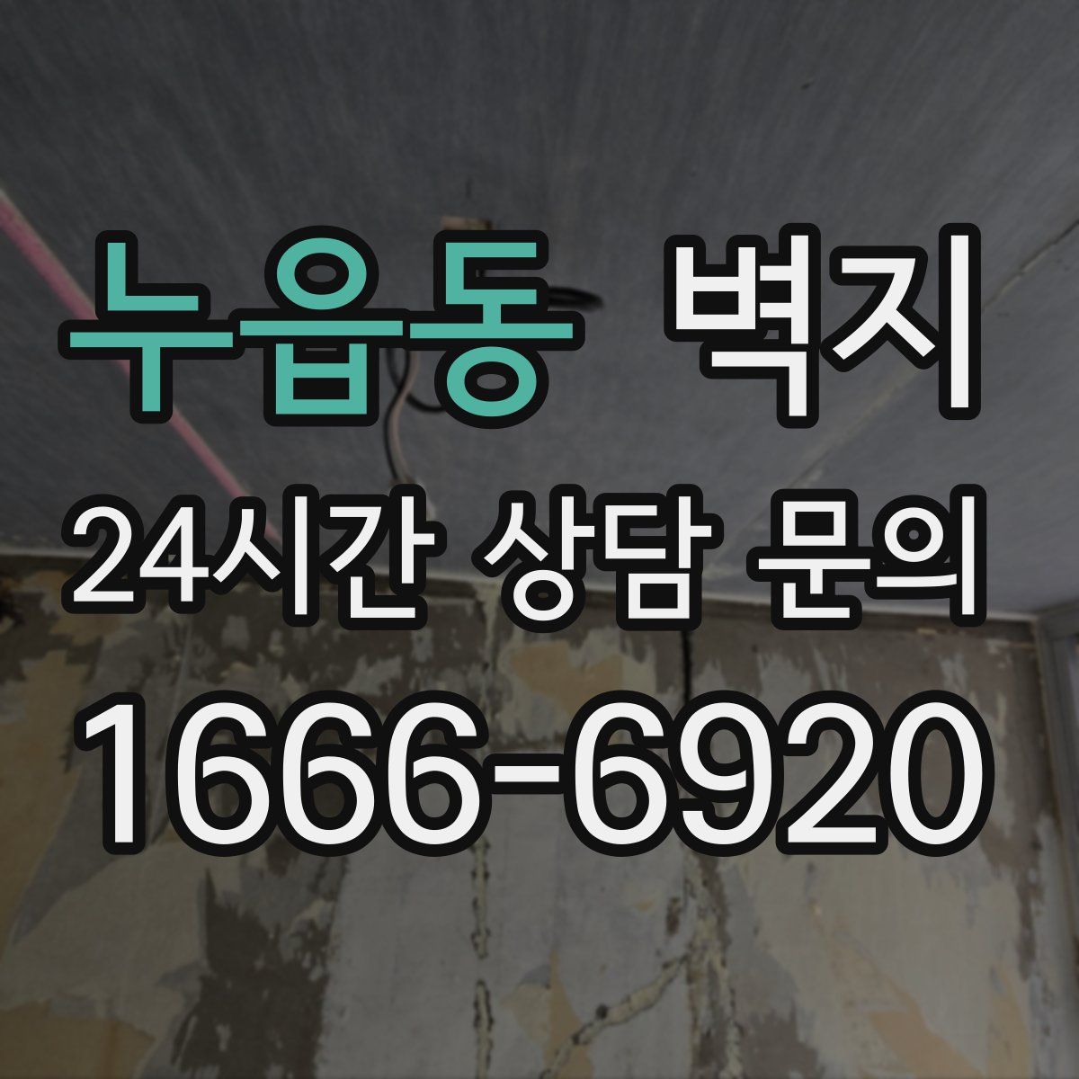 누읍동 벽지