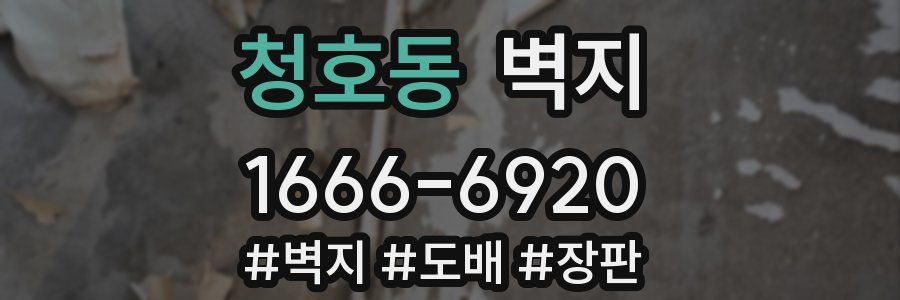 청호동 벽지