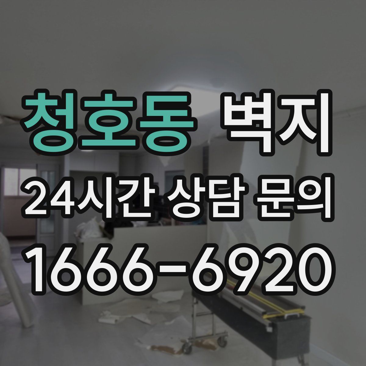 청호동 벽지