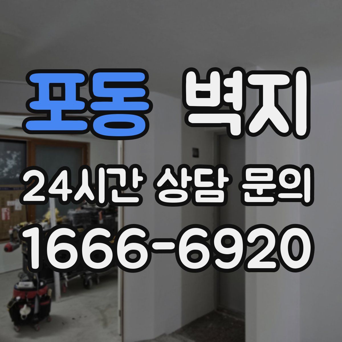 포동 벽지
