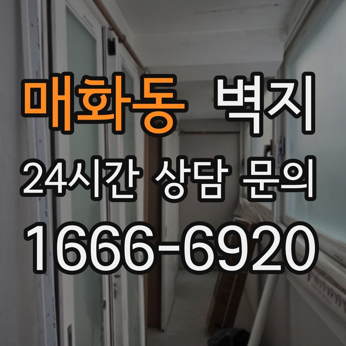 매화동 벽지