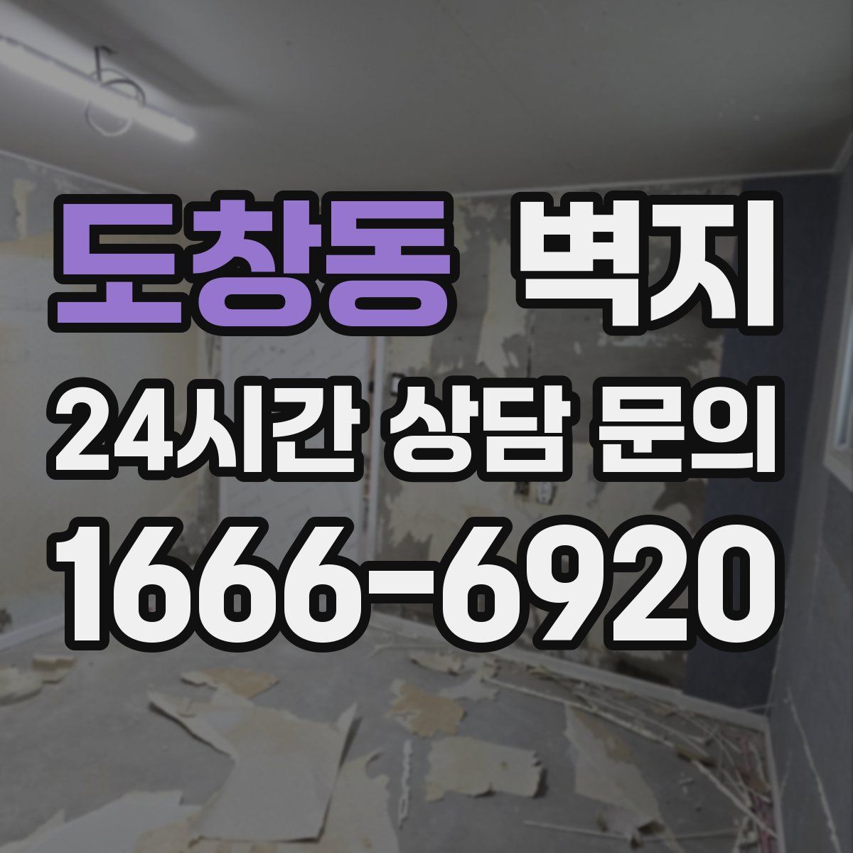 도창동 벽지