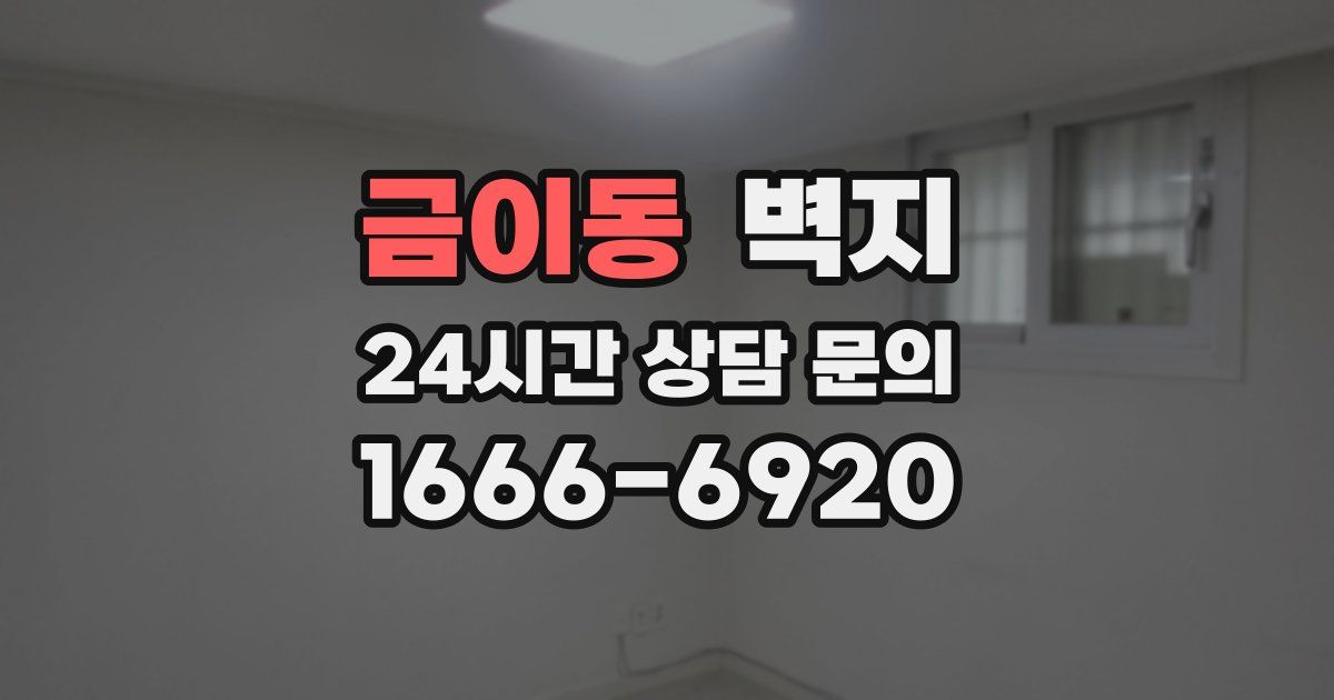 금이동 벽지