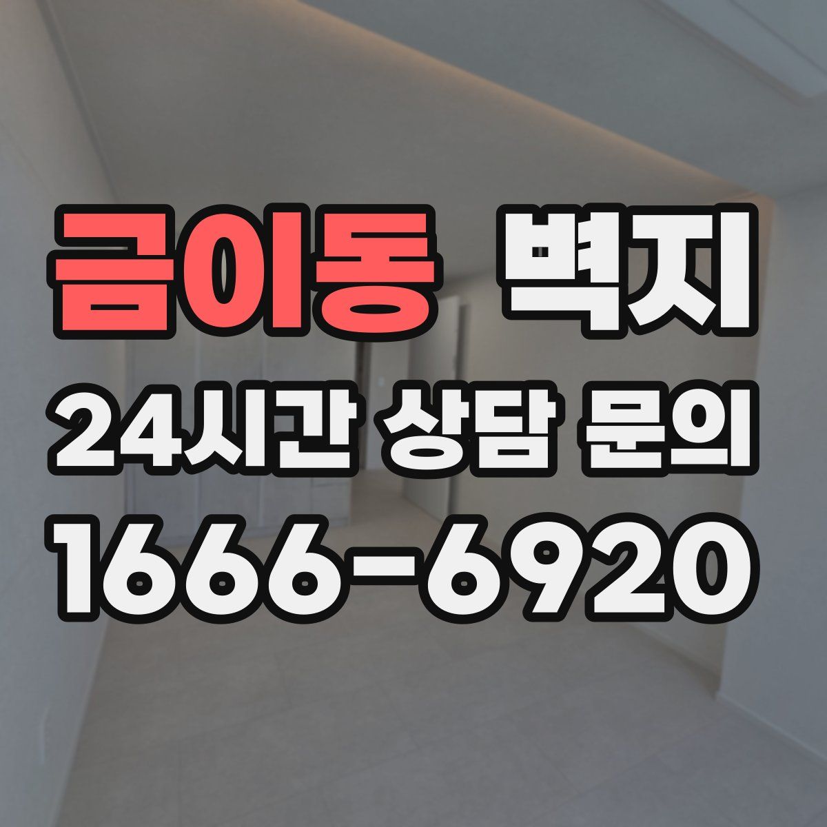 금이동 벽지