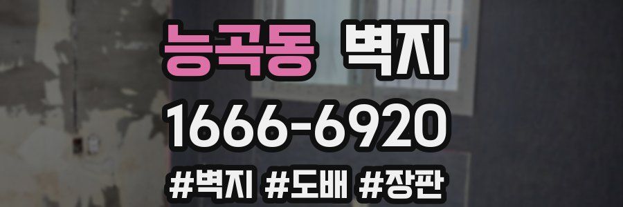 능곡동 벽지