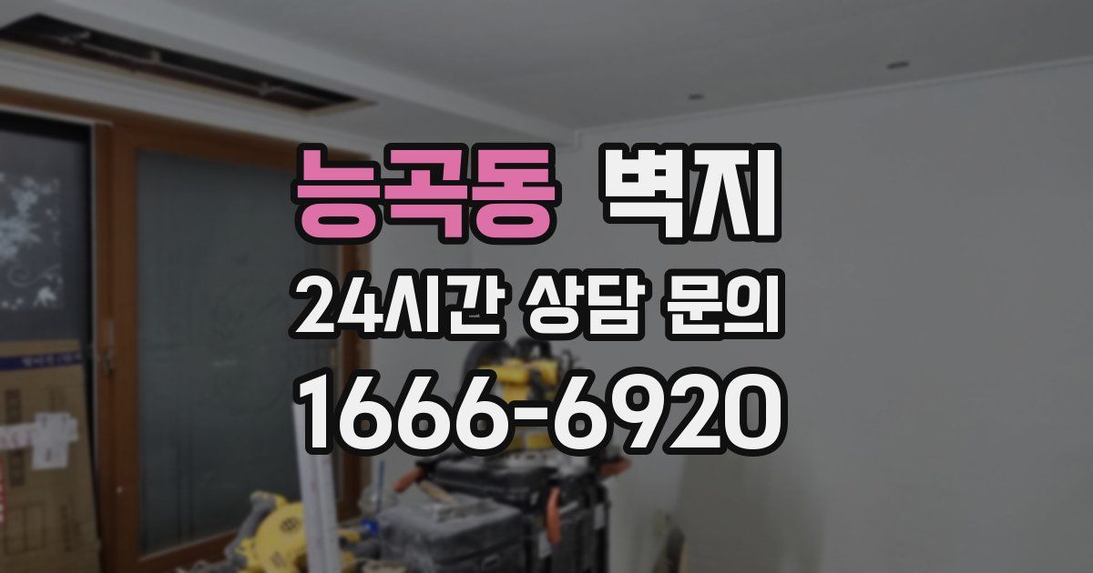 능곡동 벽지