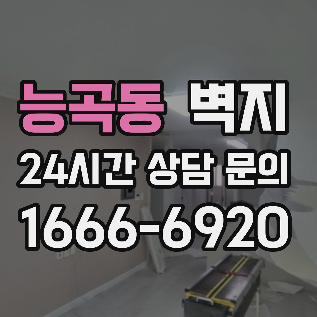 능곡동 벽지