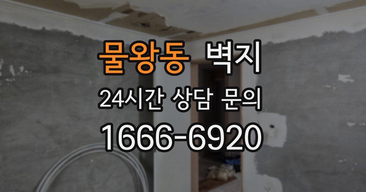 물왕동 벽지