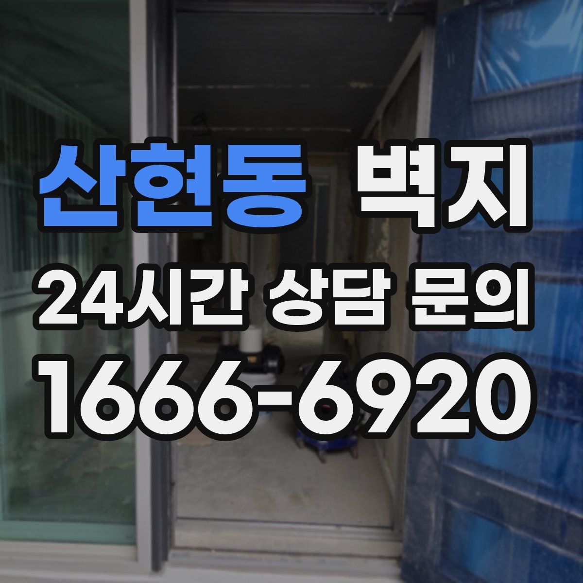 산현동 벽지