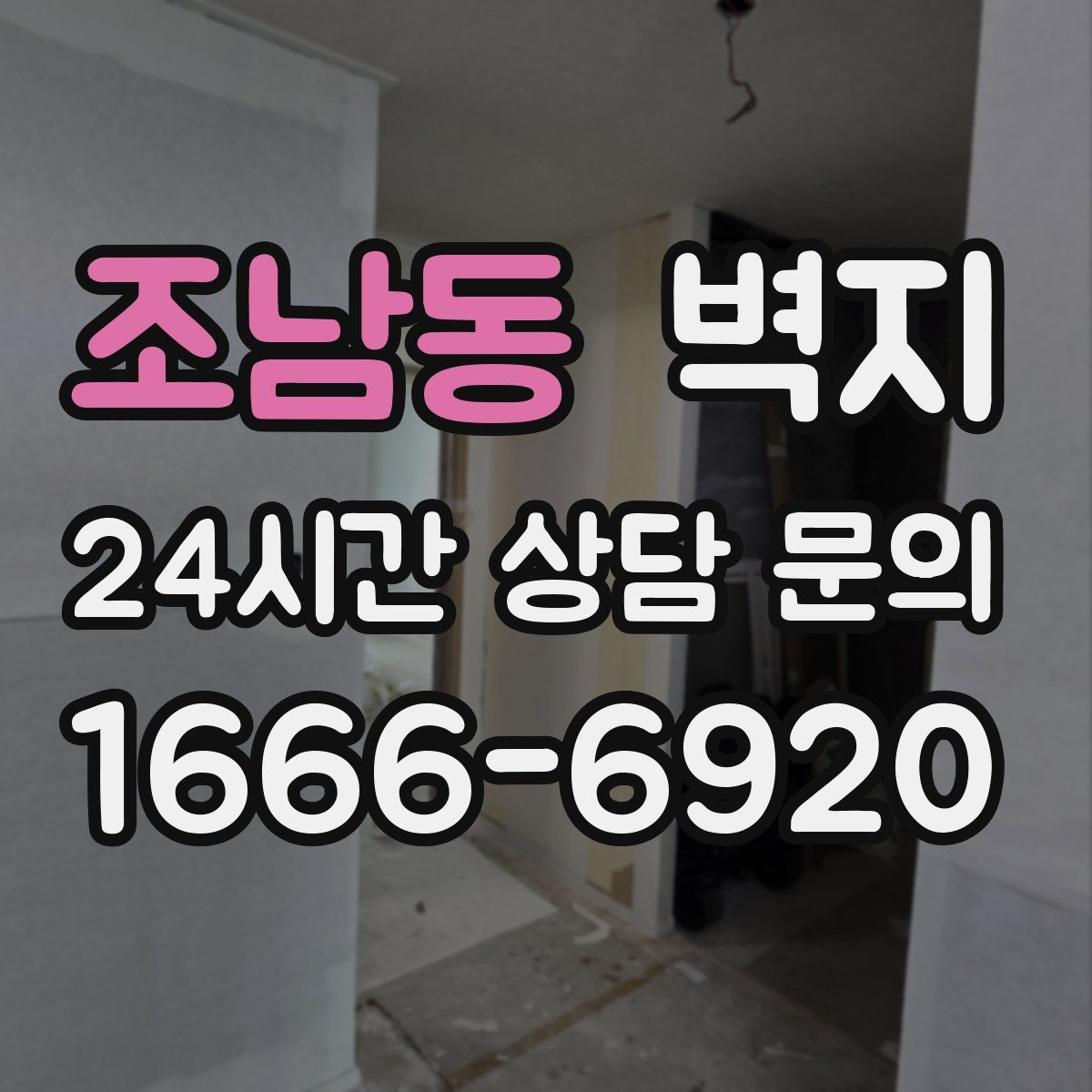 조남동 벽지