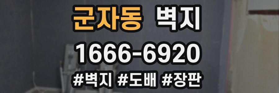 군자동 벽지